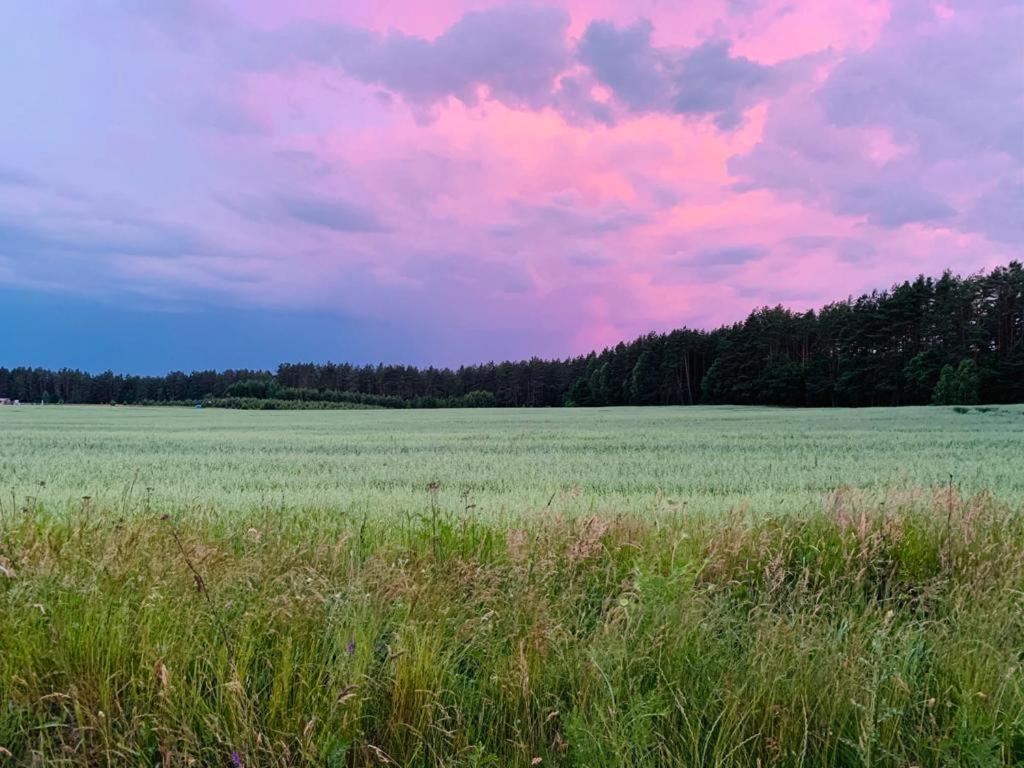 Kaszubka Villa Czarna Dabrowka Esterno foto