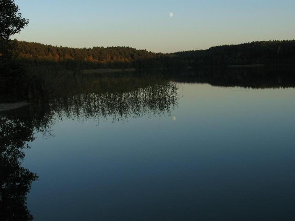 Kaszubka Villa Czarna Dabrowka Esterno foto