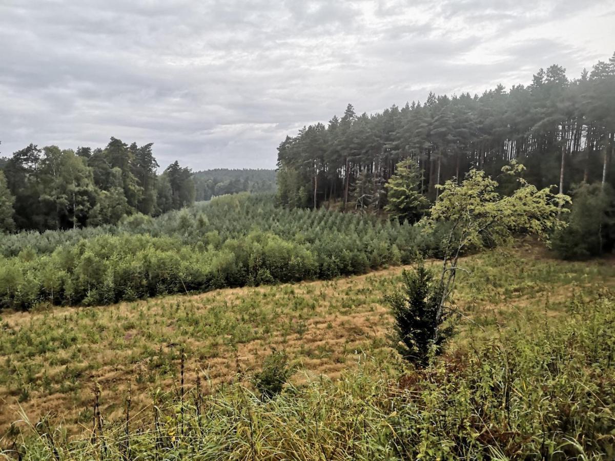 Kaszubka Villa Czarna Dabrowka Esterno foto