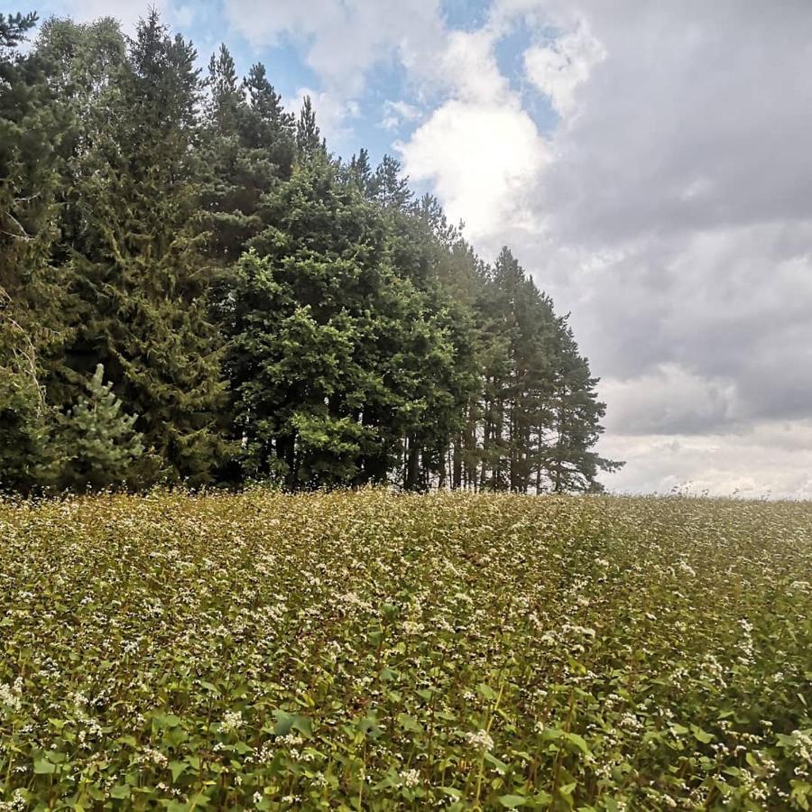 Kaszubka Villa Czarna Dabrowka Esterno foto