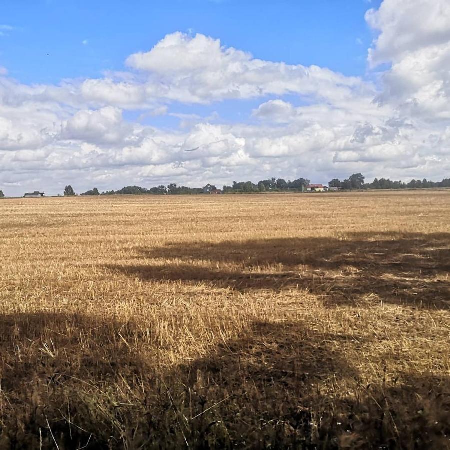 Kaszubka Villa Czarna Dabrowka Esterno foto